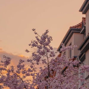 Meet your Posher, Halah